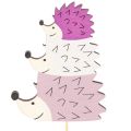 Decorative Garden Stakes -