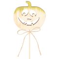 Decorative pumpkin with face