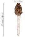 Artificial morel mushroom decorative stake for plant pots and table, 13cm, 2 pieces | Floristik24.ie