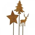 Floristik24 Garden stake patina deer deco star fir H9.5/10.5cm 9pcs