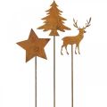 Floristik24 Garden stake patina deer deco star fir H9.5/10.5cm 9pcs