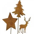 Floristik24 Garden stake patina deer deco star fir H10/15cm 3pcs