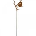 Floristik24 Patina garden decoration plug metal bird with crown 6 pieces