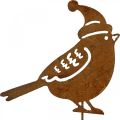 Floristik24 Garden stake bird with cap patina decoration 12cm 6pcs