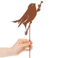 Bird garden stake, rusted metal decorative stake, 52cm | Floristik24.ie