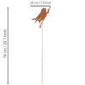 Bird garden stake, rusted metal decorative stake, 52cm | Floristik24.ie