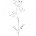 Floristik24 Spring decoration, deco plug flower shabby chic white, silver L87cm W18cm