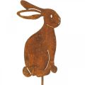 Floristik24 Garden decoration rust Easter Bunny flower plug metal 7×9cm