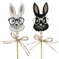 Floristik24 Flower plug bunny with glasses wood glitter 4×7.5cm 12pcs