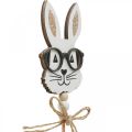 Floristik24 Flower plug bunny with glasses wood glitter 4×7.5cm 12pcs