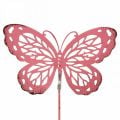 Garden stake butterfly metal pink H30cm 6pcs