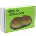 Floristik24 Stick hedgehog Kenzan Sun Moon Ikebana 110×65mm