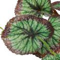 Floristik24 Saxifrage decorative garland artificial green Saxifraga 152cm