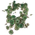 Floristik24 Saxifrage decorative garland artificial green Saxifraga 152cm