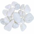 Floristik24 River Pebbles Natural White 3-5cm 1kg