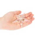 Decorative star ornaments, iridescent clear acrylic, Christmas tree decorations, 9cm, 6 pieces | Floristik24.ie