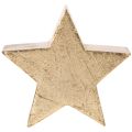 Decorative Christmas star stand for table or shelf, 10cm, 3 pieces | Floristik24.ie