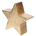 Decorative Christmas star