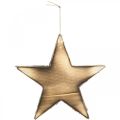 Floristik24 Wooden star to hang natural flamed Christmas decoration 20cm
