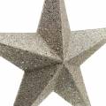 Floristik24 Glitter stars to hang champagne Ø21cm 3pcs