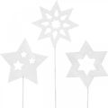 Floristik24 Flower plug stars, Advent, flower decoration, wooden stars natural, white, gold glitter L27 / 28.5cm 18pcs