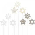 Floristik24 Flower plug stars, Advent, flower decoration, wooden stars natural, white, gold glitter L27 / 28.5cm 18pcs