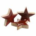 Floristik24 Scattered decoration star mango red lacquered 5 × 5cm 16p