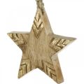 Floristik24 Star mango wood nature, golden Christmas tree decorations 12cm 4pcs