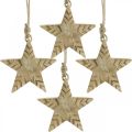 Floristik24 Star mango wood nature, golden Christmas tree decorations 12cm 4pcs