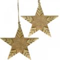 Floristik24 Star mango wood natural, golden wooden star large to hang 25cm 2pcs