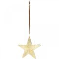 Floristik24 Stars to hang, metal decorations, Christmas tree decorations golden 9,5 × 9,5cm 3pcs