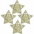 Floristik24 Scatter decoration stars, light chain attachment, Christmas, metal decoration golden Ø6cm 20 pieces