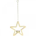 Floristik24 Decorative star tealight holder for hanging metal golden 20cm