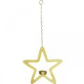 Floristik24 Decorative star tealight holder metal for hanging golden 24cm