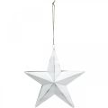 Floristik24 Star to hang, Christmas tree decorations, metal decoration white 19.5 × 18.5cm