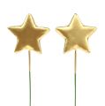 Floristik24 Stars on wire for crafting gold 5cm L23cm 48pcs