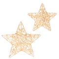 Floristik24 Decorative star set made of wire, two sizes, 10cm, 12 pieces