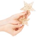 Decorative star set made of wire, two sizes, 10cm, 12 pieces | Floristik24.ie