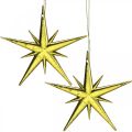 Floristik24 Christmas decoration star pendant golden W11.5cm 16pcs