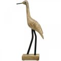 Floristik24 Wooden wader, standing crane, decorative bird natural color, black H40cm