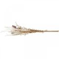Poppy capsules deco dried flowers artificial fern cream 63cm