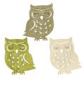 Floristik24 Litter owl white, green, brown 4cm 72pcs