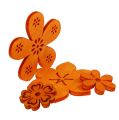 Floristik24 Scattered wood flower orange 2cm - 4cm 96p