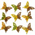 Floristik24 Scatter decoration butterflies wood green/yellow/orange 3×4cm 24p