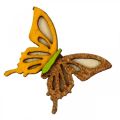 Floristik24 Scatter decoration butterflies wood green/yellow/orange 3×4cm 24p