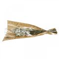 Floristik24 Acroclinium White, Dry Plants, Helichrysum, Dry Flowers L20–40cm 25g