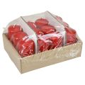 Pillar candles H100 Ø50cm red candles 12pcs | Floristik24.ie