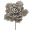 Floristik24 Artificial succulent wax artificial plant with wire 8cm 8pcs