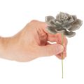 Artificial succulent wax artificial plant with wire 8cm 8pcs | Floristik24.ie