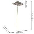Artificial succulent wax artificial plant with wire 8cm 8pcs | Floristik24.ie